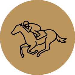 Horse Racing